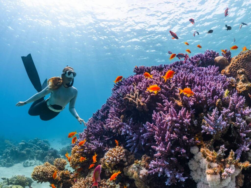Top 5 family travel destination Thumbnail